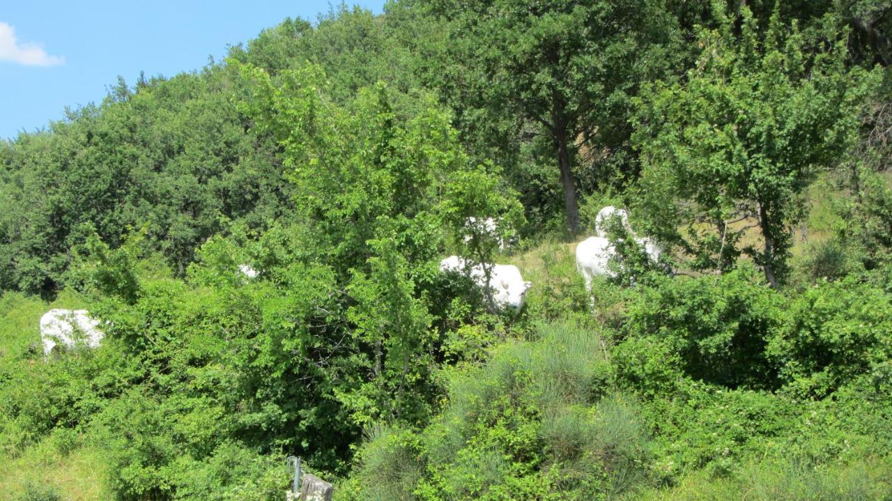 Casale Le Fontanelle Hotel Monte Grimano Terme Kültér fotó