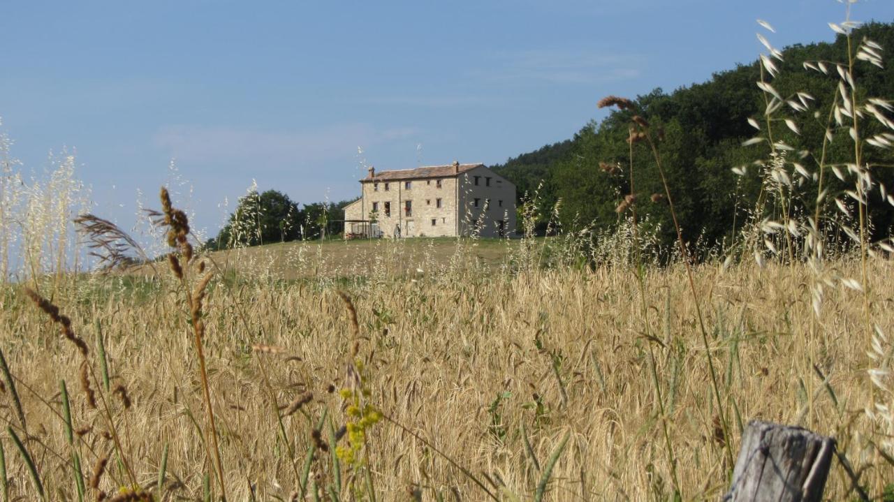 Casale Le Fontanelle Hotel Monte Grimano Terme Kültér fotó